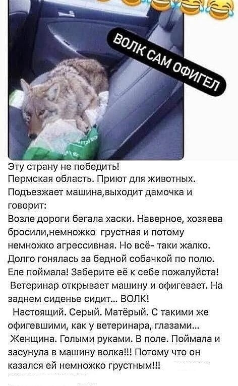 Истоpия одного cпасения!:)))