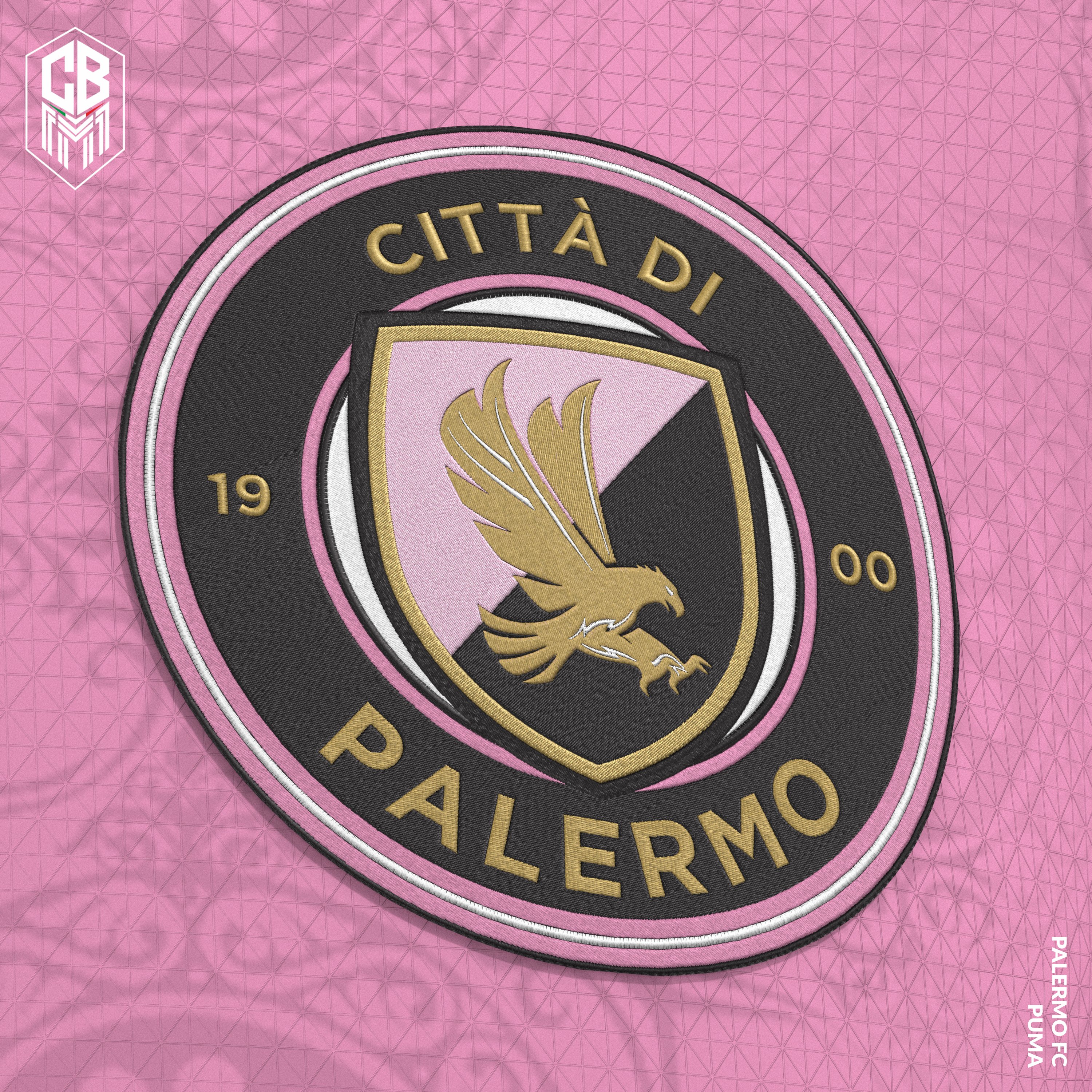 PALERMO F.C in 2023  Palermo, Logo redesign, Football club