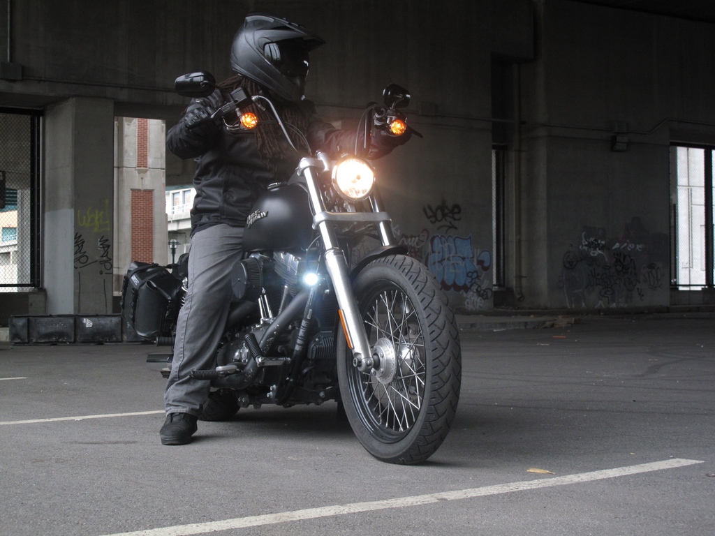DenaliLighting's tweet photo. Happy 4th of July!
Enjoy a day off to celebrate with family and friends and keep the shiny side up!
#DENALI #DENALIElectronics #4thofjuly #independenceday #harley #harleydavidson #streetbob #hdstreetbob https://t.co/PqHAxb02tl