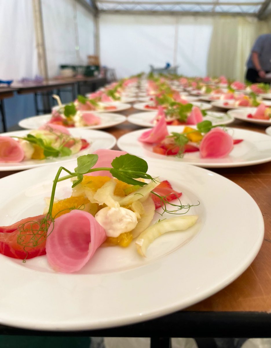 Dan Tocchini tweet media