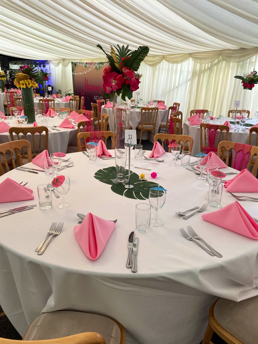 Dan Tocchini tweet media