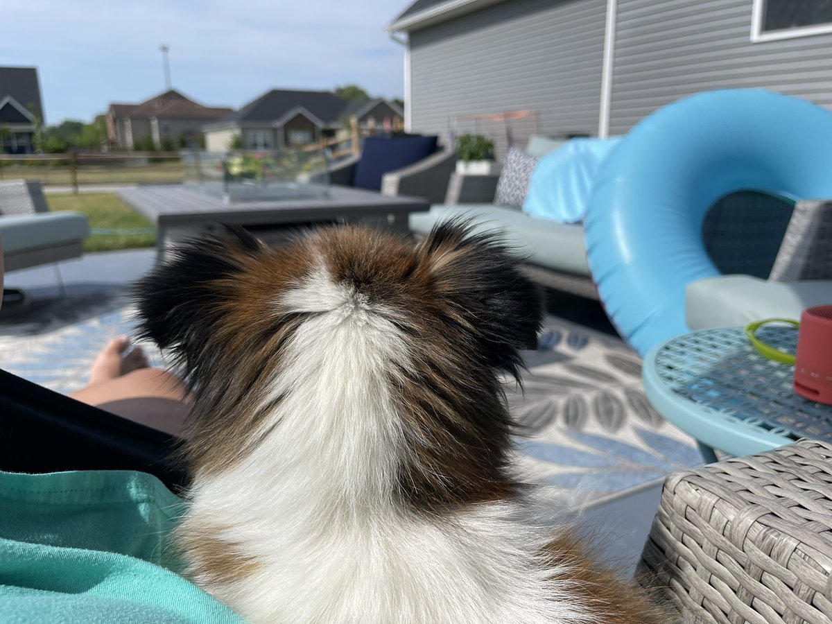 lhicks87's tweet photo. Happy 4th!  Relaxin! https://t.co/jgzf0kXL4F