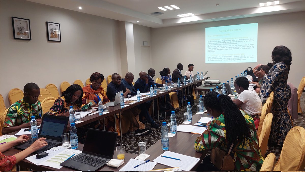 Le Programme régional #Ecofac6 organise un atelier sur la prise en compte de la dimension genre dans la conservation.
