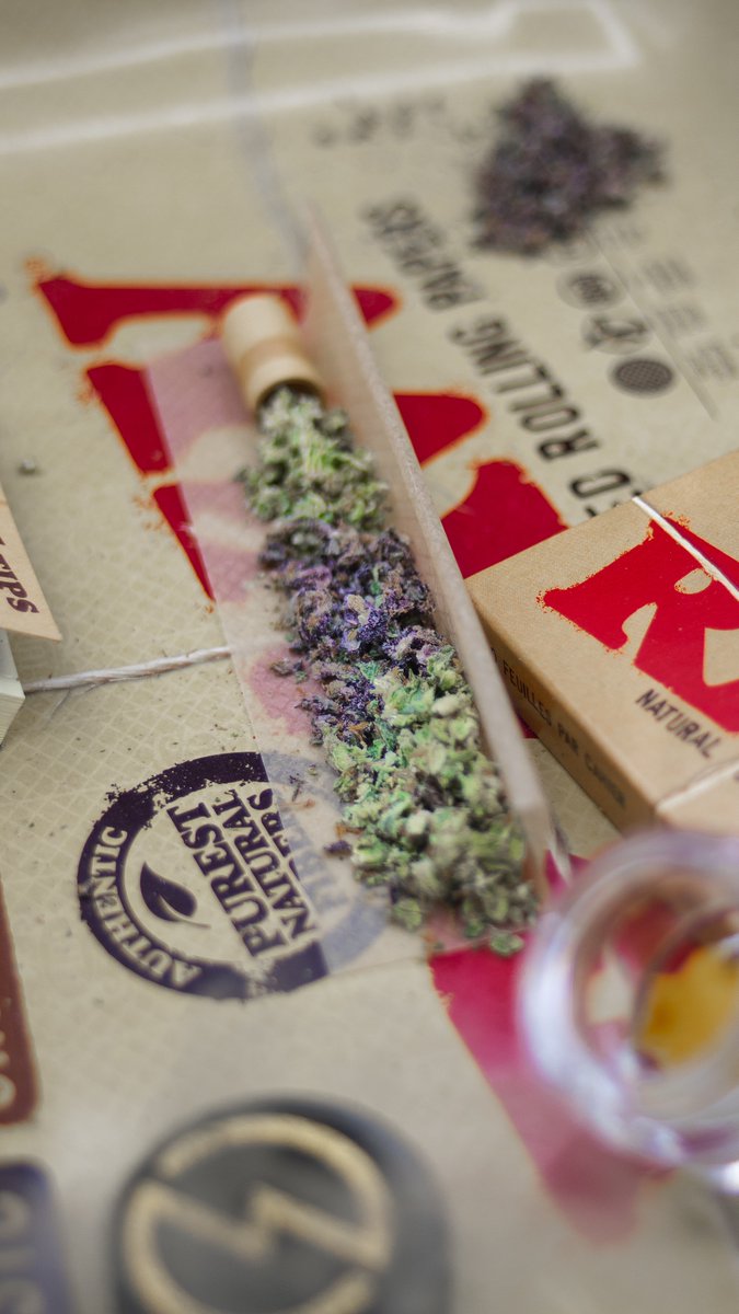 cannainvestors's tweet photo. Potential Investors Want To Look At Cannabis Industry With Eyes Open: Get to know your facts before you commit #stonerlifestyle #puffpuffpass #weedcommunity #cannabisculture #cannabisinvestment https://t.co/MhOfRXvUlm https://t.co/vh2moLlqbi