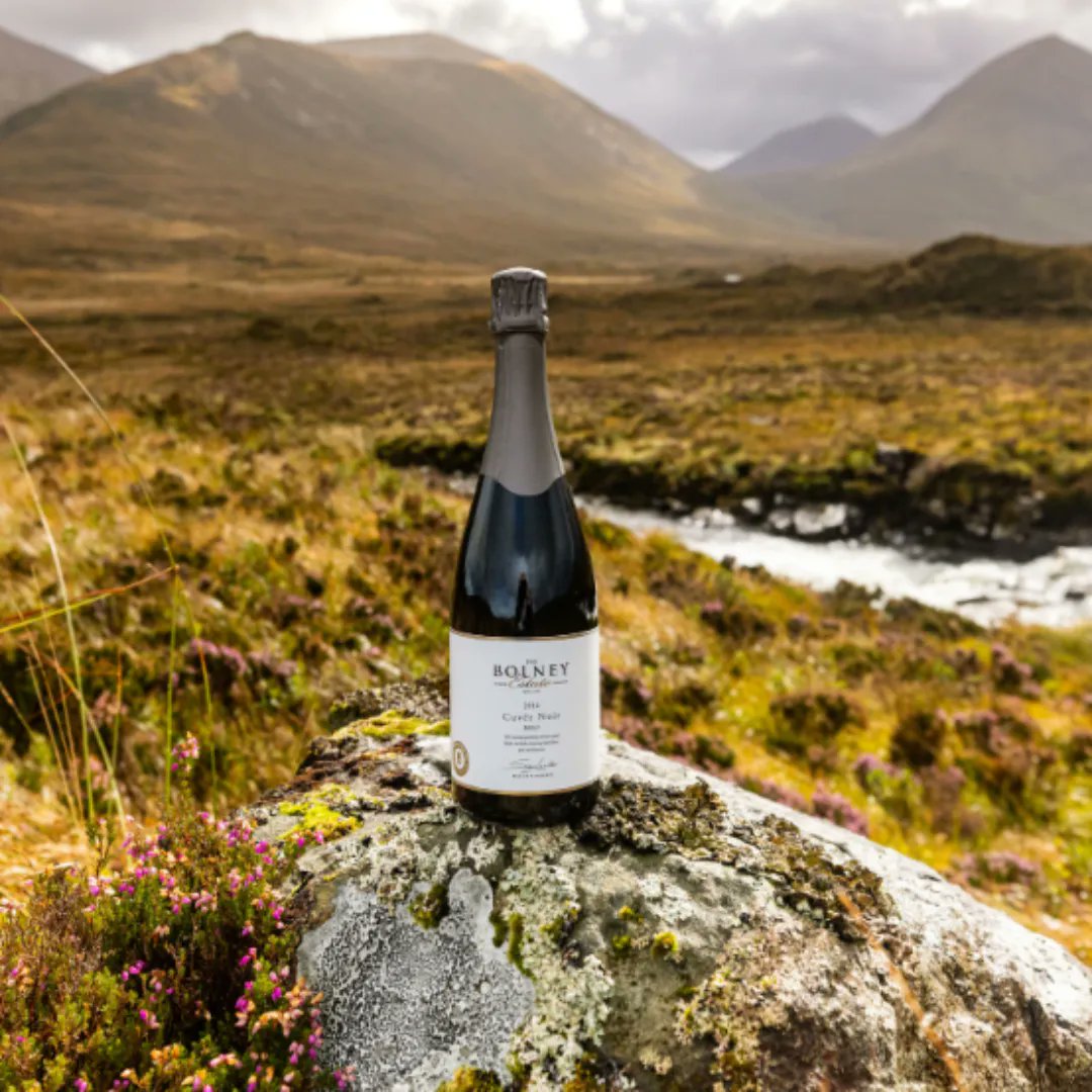 Today marks the start of #NationalBBQWeek, so if you haven't already it's time to fire up the BBQ and gather friends for good food and the best wine to match. 

If you're looking for inspiration for food and wine pairing at your BBQ, we highly recommend our Cuveé Noir!