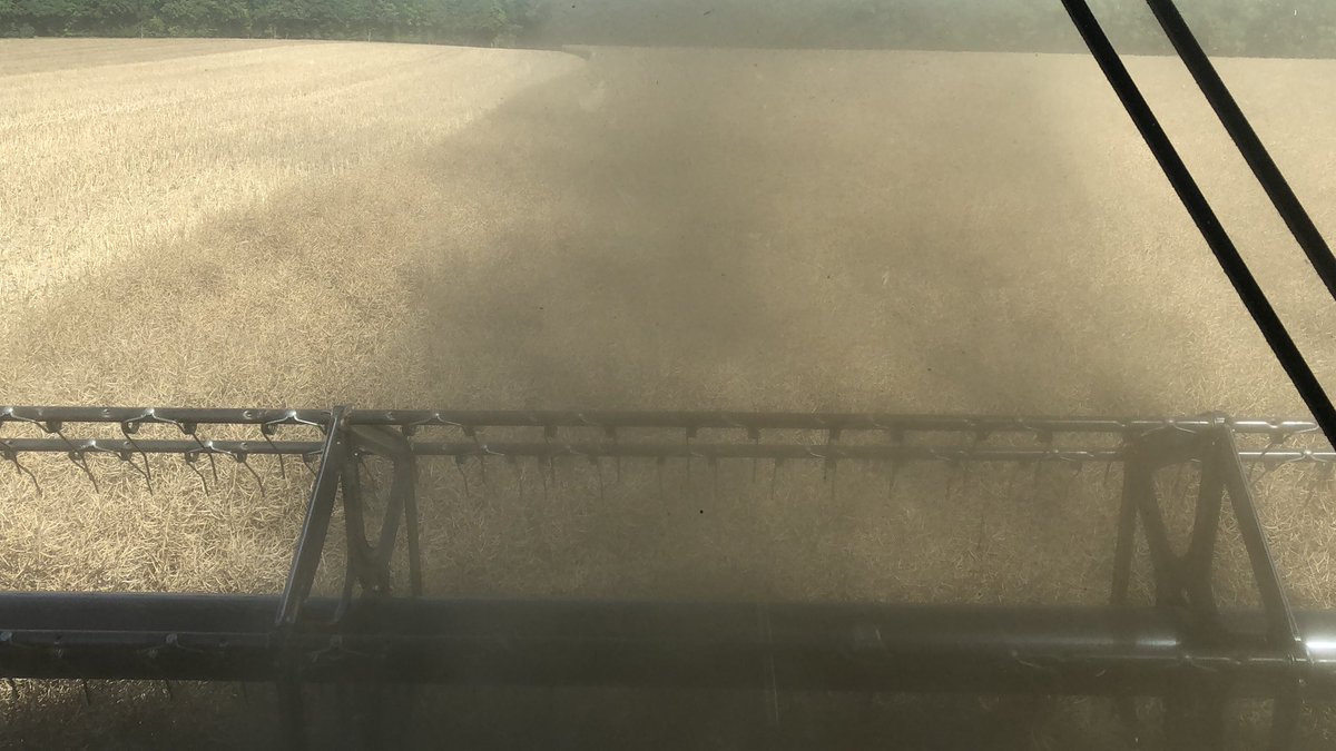 En direct de la récolte des #colza22! rendement et poussières sont au RDV 😅