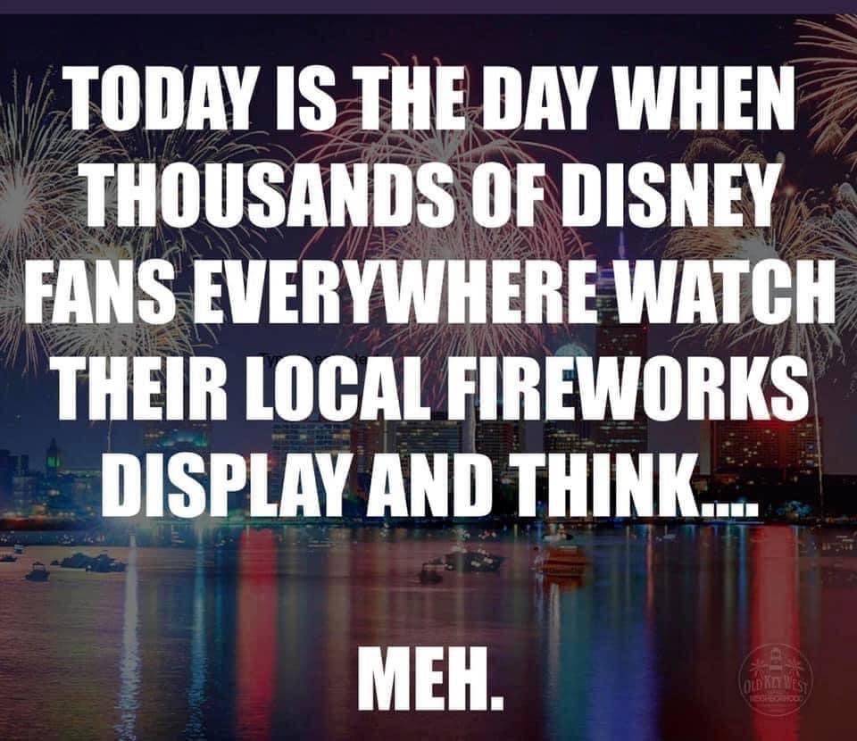 LynnDifilippo's tweet photo. True that.  #disney #WaltDisneyWorld #4thOfJuly #fireworks https://t.co/qFMFBF1owG