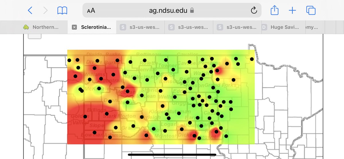 Courtney Meduna tweet media