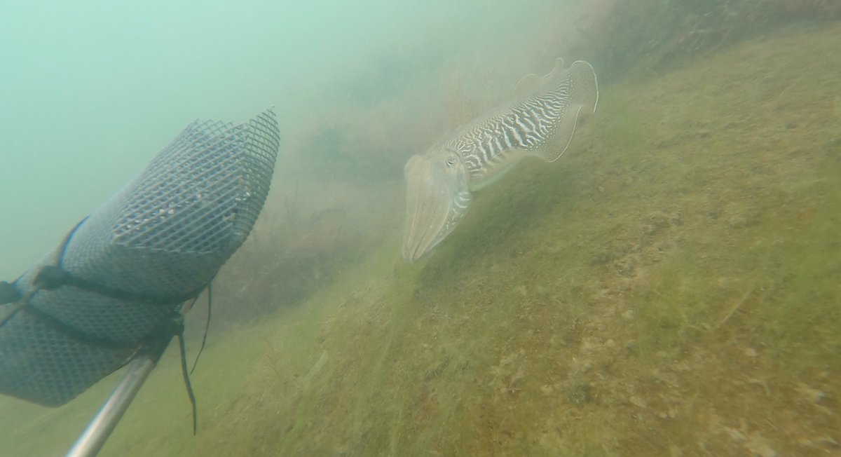 Fiona Woods tweet media