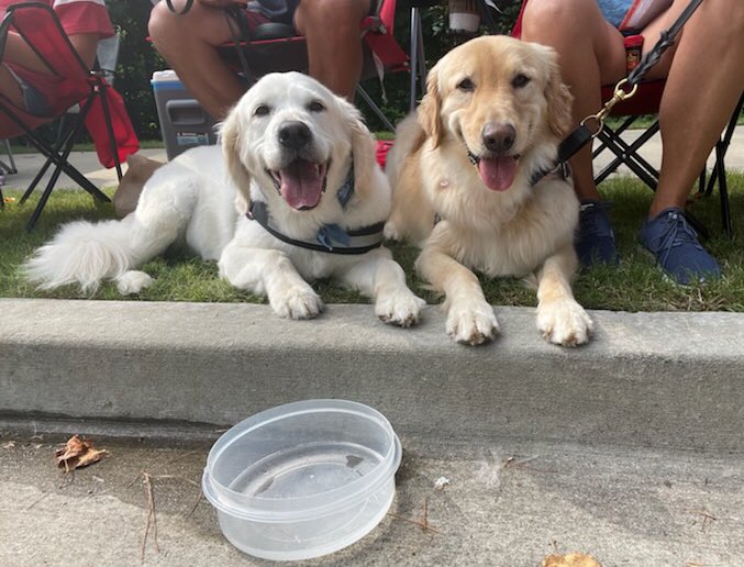 have a safe and happy 4th of july 🎇🎆🇺🇸<a href="/DunwoodyGA/">City of Dunwoody, GA</a>