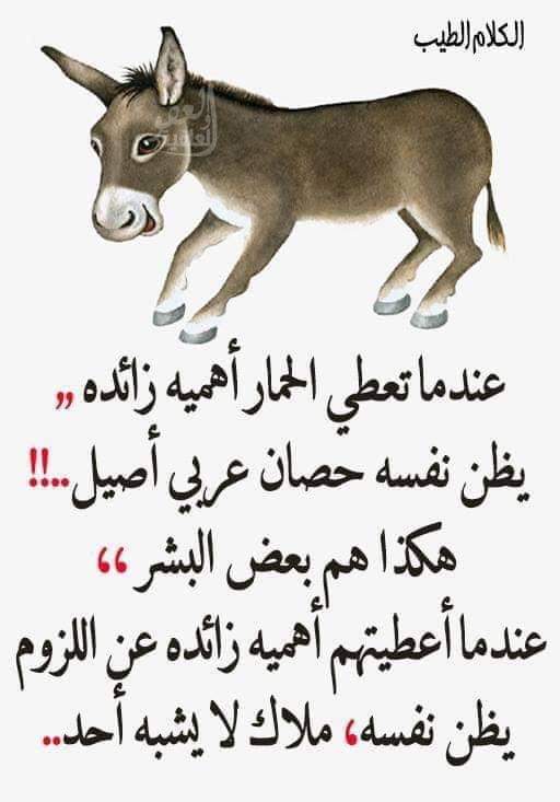 نوماس الكناني (@ahmedali11997) on Twitter photo 