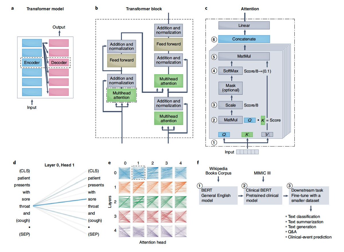Eric Topol (@erictopol) on Twitter photo If you're into #AI for healthcare, an essential new review article <a href="/natBME/">Nature Biomedical Engineering</a> today
nature.com/articles/s4155…
<a href="/Joseph_C_Wu/">Joseph C Wu, MD, PhD</a> <a href="/james_y_zou/">James Zou</a> Angela Zhang <a href="/StanfordMed/">Stanford Medicine</a> <a href="/StanfordCVI/">Stanford CVI</a> If you're into #AI for healthcare, an essential new review article <a href="/natBME/">Nature Biomedical Engineering</a> today
nature.com/articles/s4155…
<a href="/Joseph_C_Wu/">Joseph C Wu, MD, PhD</a> <a href="/james_y_zou/">James Zou</a> Angela Zhang <a href="/StanfordMed/">Stanford Medicine</a> <a href="/StanfordCVI/">Stanford CVI</a>