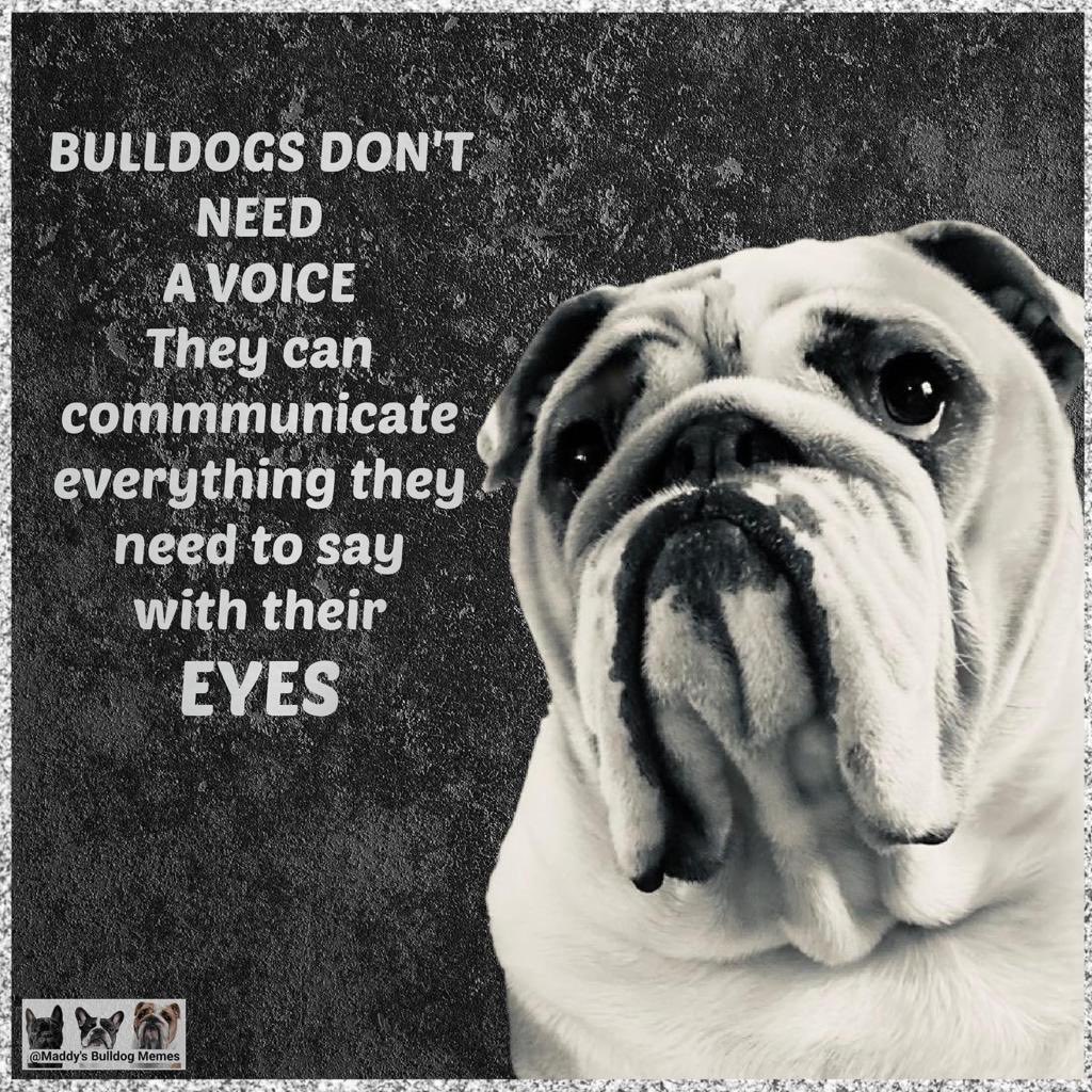 MillynGeorge (@millyngeorge) on Twitter photo 
