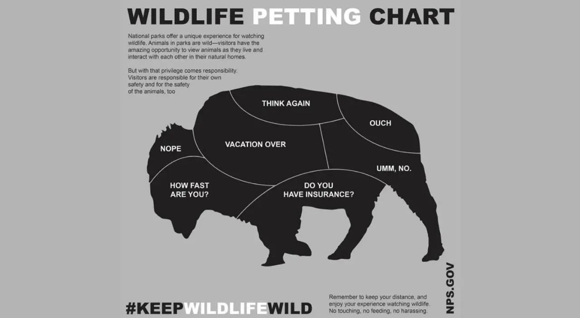 Dan Williams tweet media