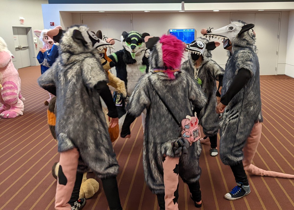 VixNdwnq's tweet photo. Who else hopped into (or wanted to) possum dance party? ;P https://t.co/bedw9vaJ07