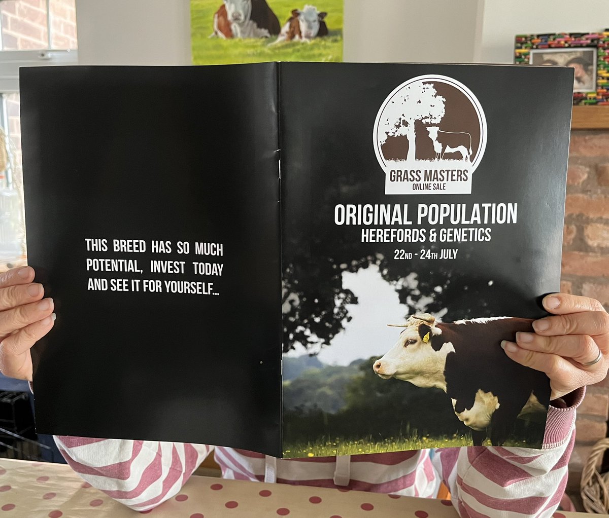 patlynn78's tweet image. Palpable excitement (possibly hidden in this case) with the arrival of #Grassmasters catalogue. Worth a look if you want some excellent grass to beef genetics.