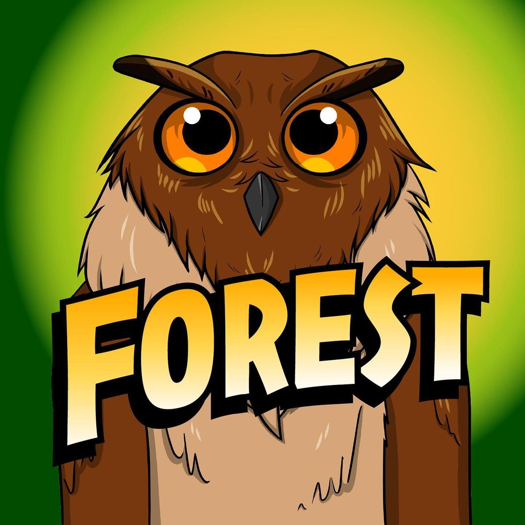 thefo_rest's tweet photo. Here at The Forest, we’re super excited to start our Summer Camp tomorrow 🥳
It will be a 6-week dynamic journey into the WEB3 with exclusive workshops, created by the founders, just for our new members🦉.
#daretosoar
#NFTProject 
#NFTs https://t.co/SnGeo9oI4b