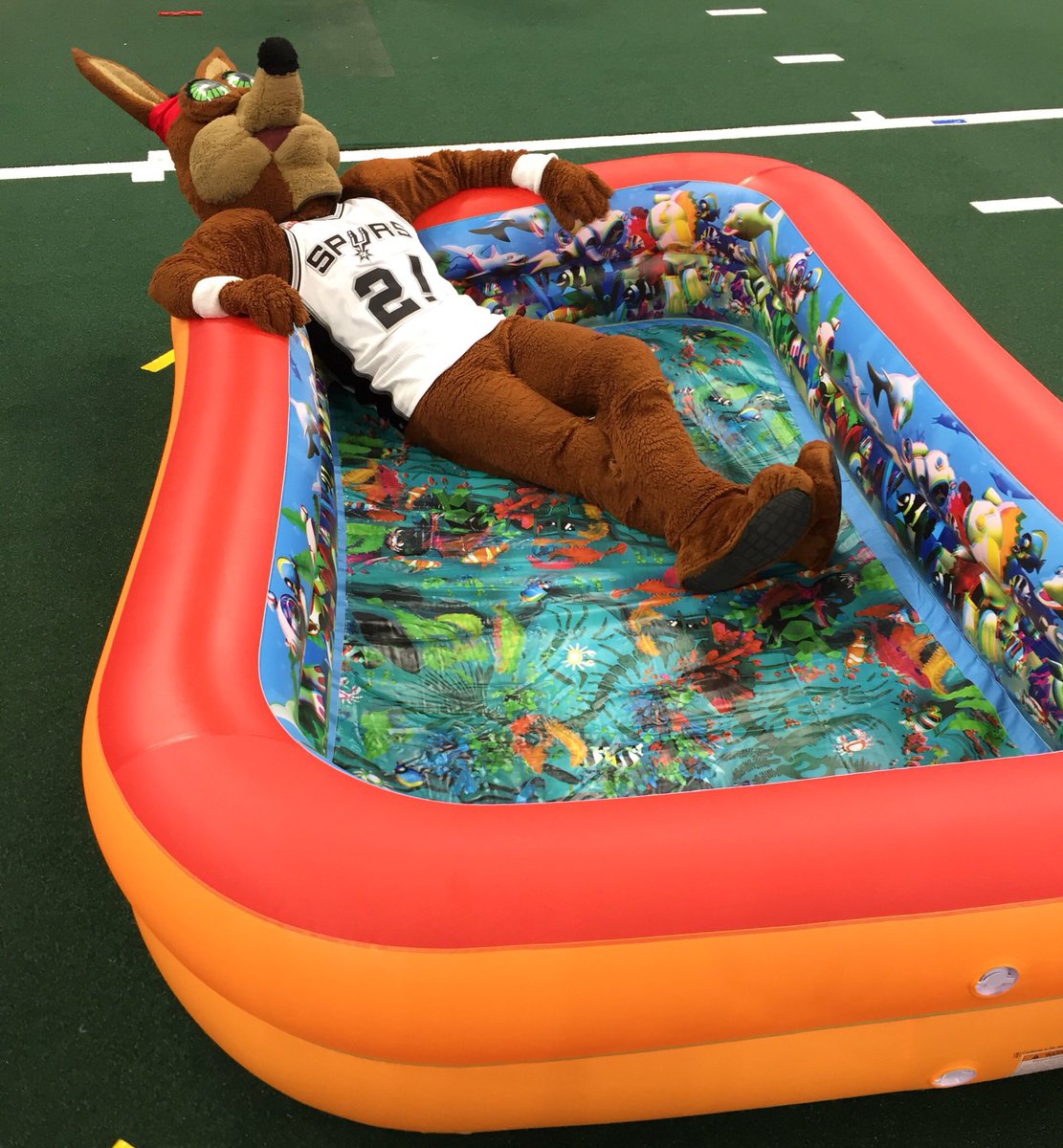 Happy 4th of July from us here at #MascotGames! We hope you enjoy your #IndependenceDay safely! 

(P.S. here’s a cheap plug for the Mascot Games Virtual 5K Fun Run if you haven’t sign up already)

mascotgames.org