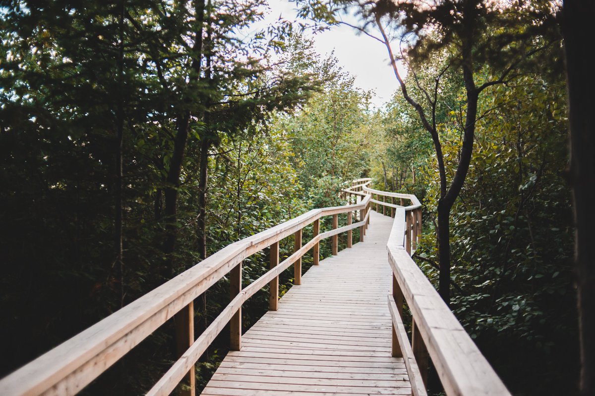WE'RE HIRING! 🙌

The LNCC is currently seeking a qualified, outgoing and energetic individual for the exciting position of Tourism Development Lead to build regional capacity &amp; strengthen the regional tourism sector. 

Deadline July 15. Apply now! chamberlabrador.com/jobs/labrador-…