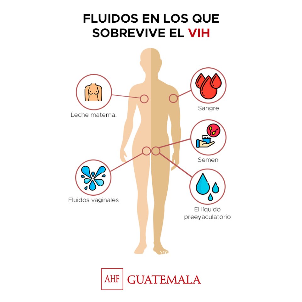 ¿Sabías qué?... 🤔 Los fluidos que pueden transmitir el #VIH son: – SANGRE. – SEMEN. – LÍQUIDO PREEYACULATORIO. – FLUJO VAGINAL. – LECHE MATERNA. Por ello, recuerda usar siempre condón en todas tus relaciones sexo genitales y realizarte pruebas de detección. Vía:@AHF_Guatemala