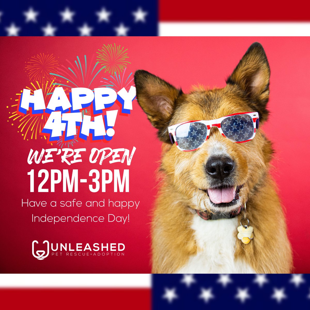 Wishing you and your pets at safe and happy holiday! 
🇺🇸❤️🤍💙🇺🇸 #FourthOfJuly
Our shelter will be OPEN today from 12pm to 3pm.