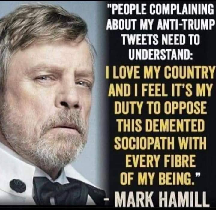 HurricaneSignin's tweet image. You tell em @MarkHamill