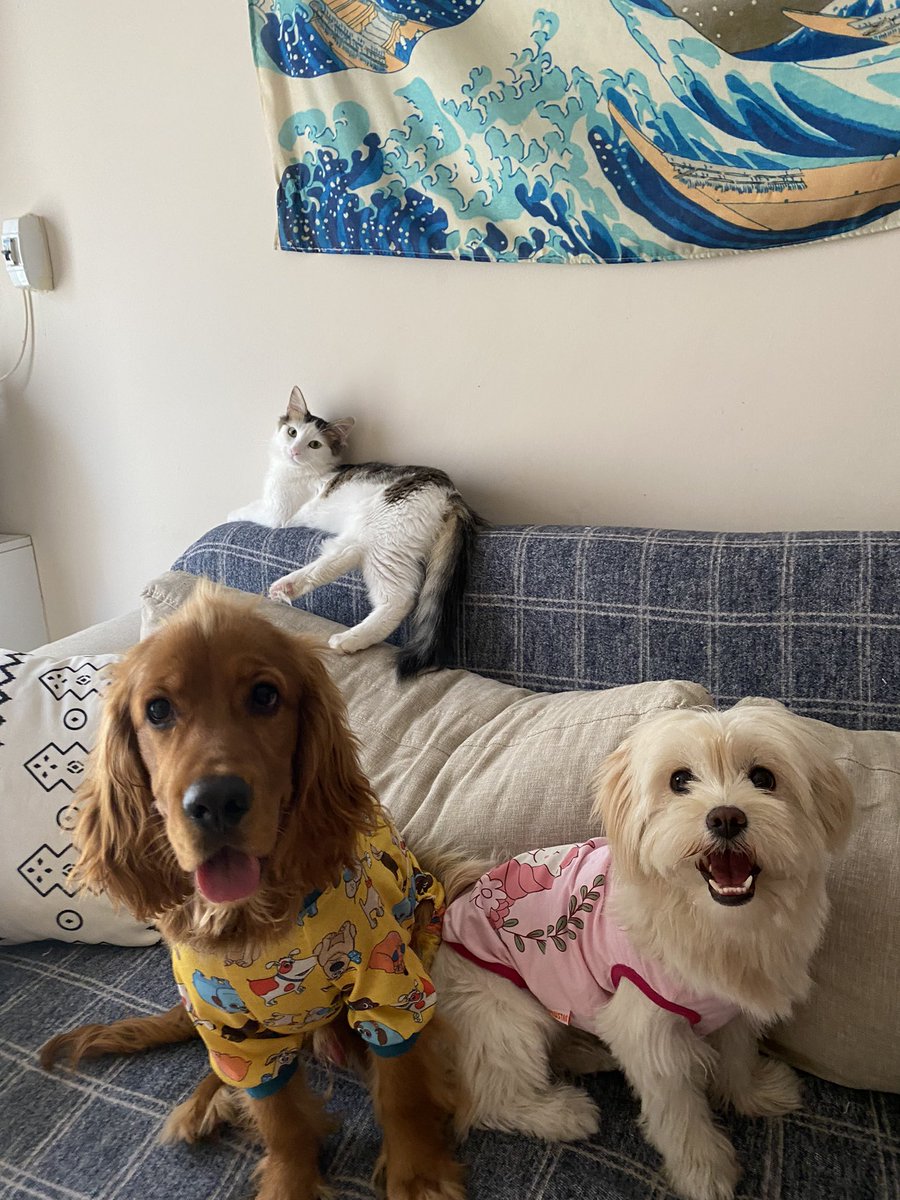 Pofuduk ayaklar toplantısından bir foti