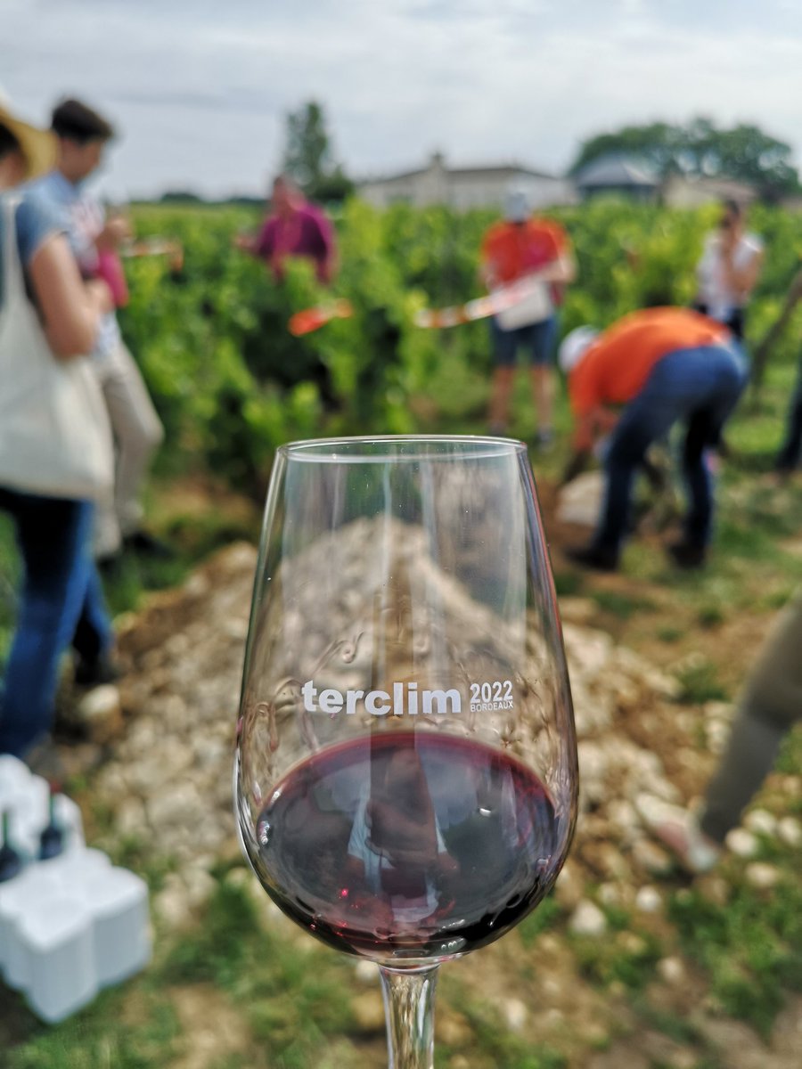 Master Vintage tweet media