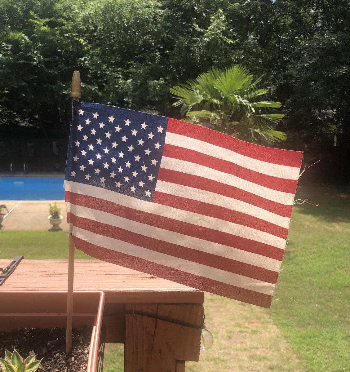 CLW11_DLYS's tweet photo. Whether we agree or disagree or agree to disagree, today we celebrate the beauty of America! We have such freedoms in this country that some people across the globe can only hope and wish for! Let’s celebrate that! Happy 4th of July! #UnityInFreedom #AmericaTheBeautiful https://t.co/8as8c2XXWS