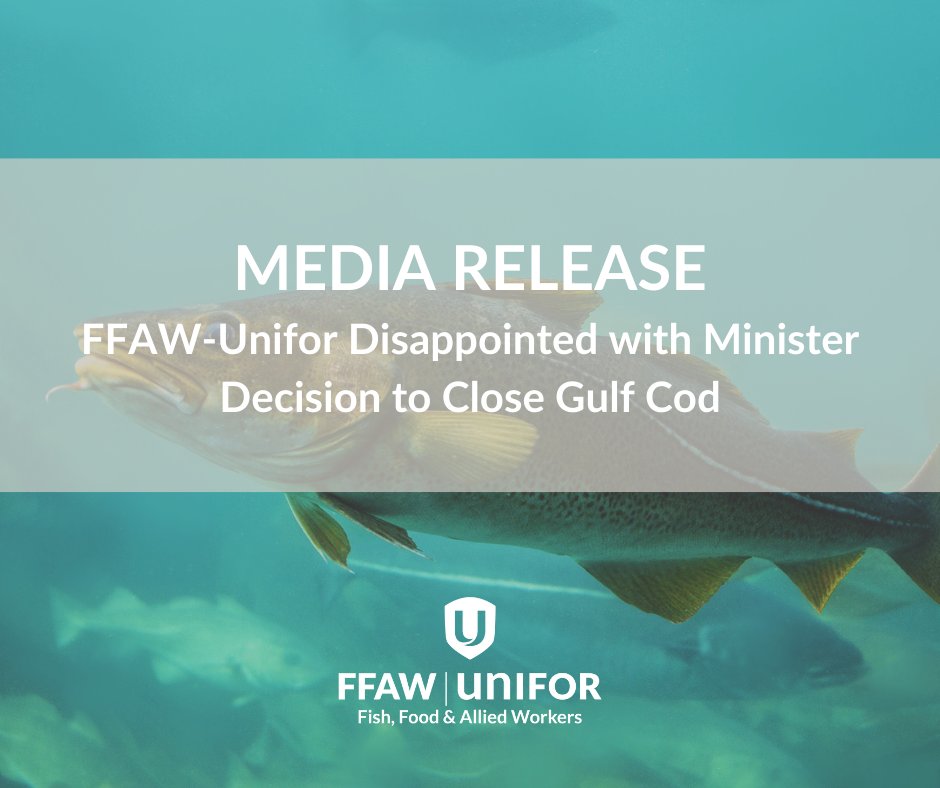 MEDIA RELEASE: FFAW-Unifor Disappointed with Minister Decision to Close Gulf Cod #nlpoli 

ffaw.ca/the-latest/new…