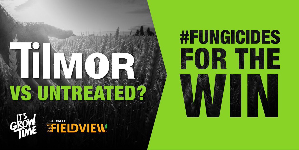 Cereal crops are advancing quickly and Mother Nature is supplying the rain.  Check out this link to find out which Bayer cereal fungicide is right for you.  cropscience.bayer.ca/Grower-Tools/F….  #FungicidesForTheWin <a href="/Bayer4CropsCA/">Crop Science Canada</a>