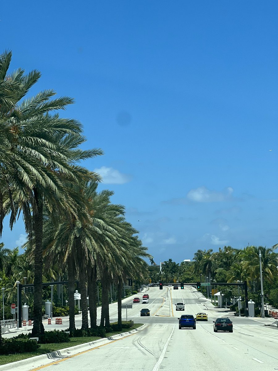 _dbernie's tweet photo. hello fort lauderdale ❣️ https://t.co/aoyBsgt6S5