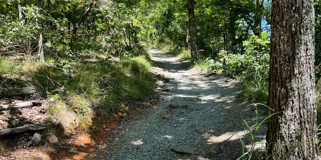 Loving my summer morning hikes with my daughter. It gives me the opportunity to enjoy quality time and fresh air.
