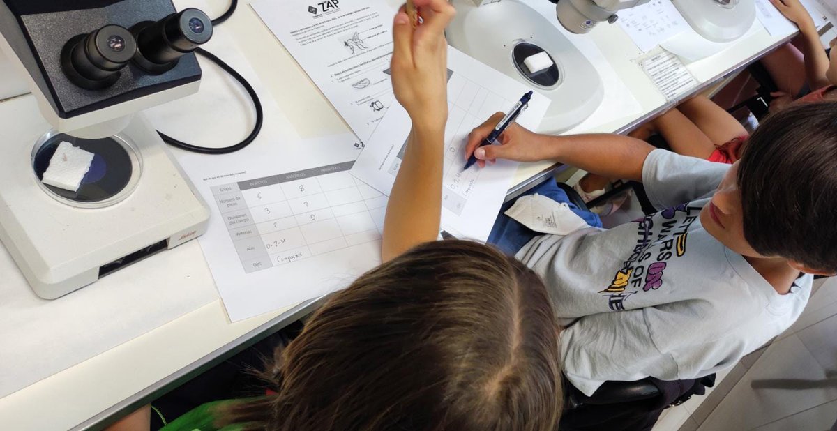 ento_e's tweet photo. Los #insectos son importantes indicadores de la salud del medio ambiente. Polinizadores, plagas y vectores, todos juegan su papel. Aquí #entomotwins in action en el taller científico de @PortUIB #seràsUIB #bugsarecool @ZoologiaUIB https://t.co/kWqSBDriFN