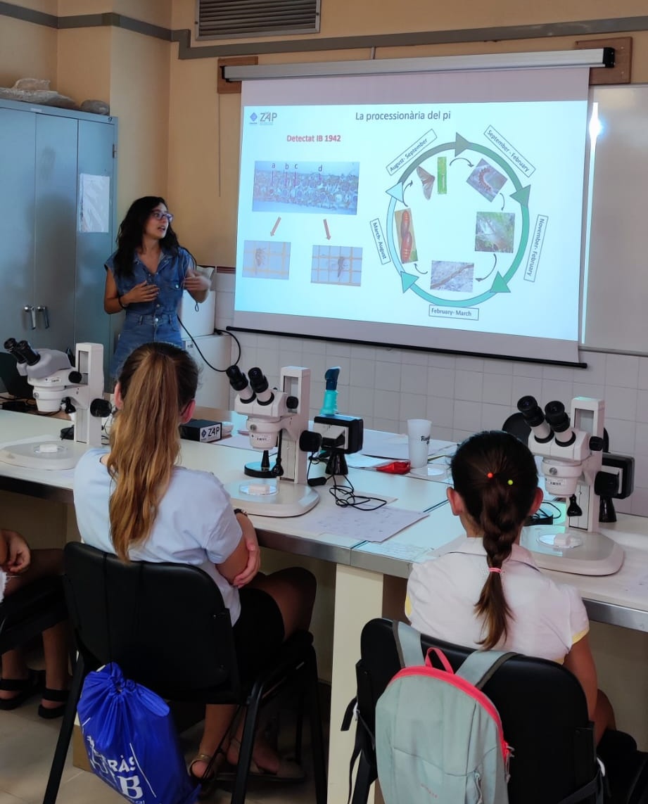ento_e's tweet photo. Los #insectos son importantes indicadores de la salud del medio ambiente. Polinizadores, plagas y vectores, todos juegan su papel. Aquí #entomotwins in action en el taller científico de @PortUIB #seràsUIB #bugsarecool @ZoologiaUIB https://t.co/kWqSBDriFN
