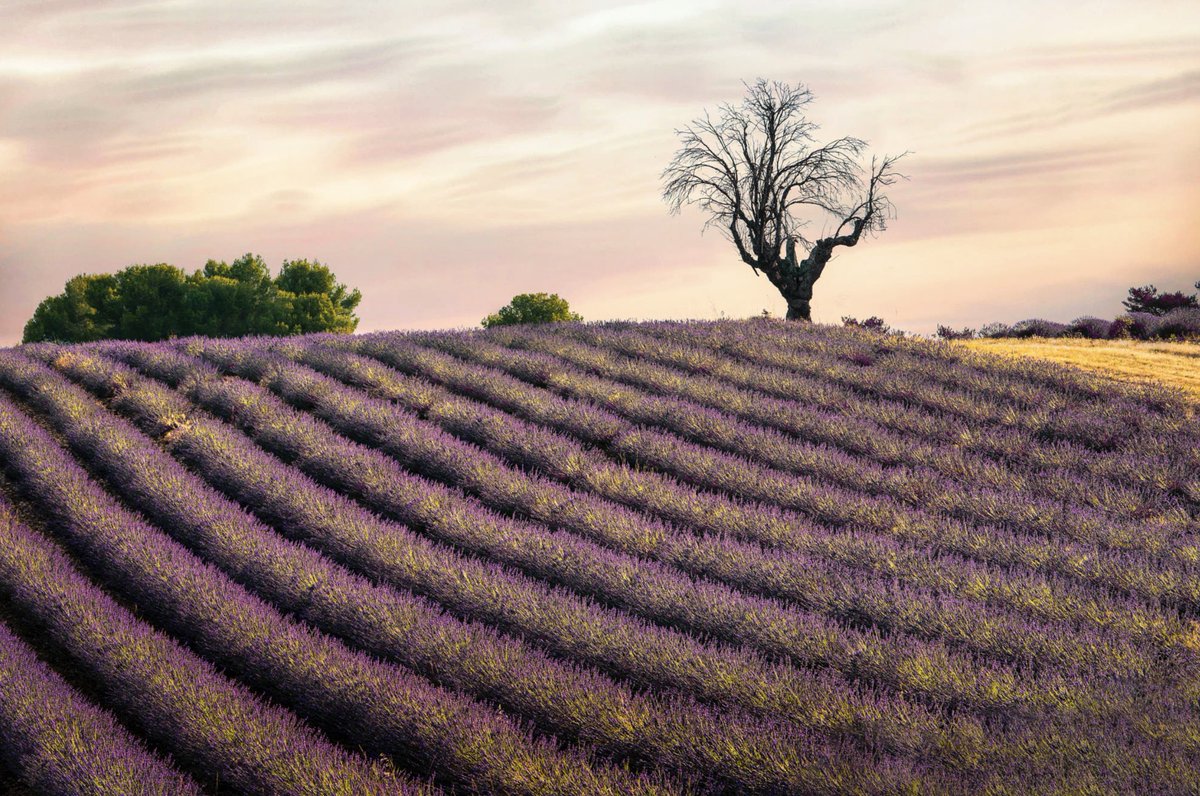 Nature Space (@naturespace_) on Twitter photo 