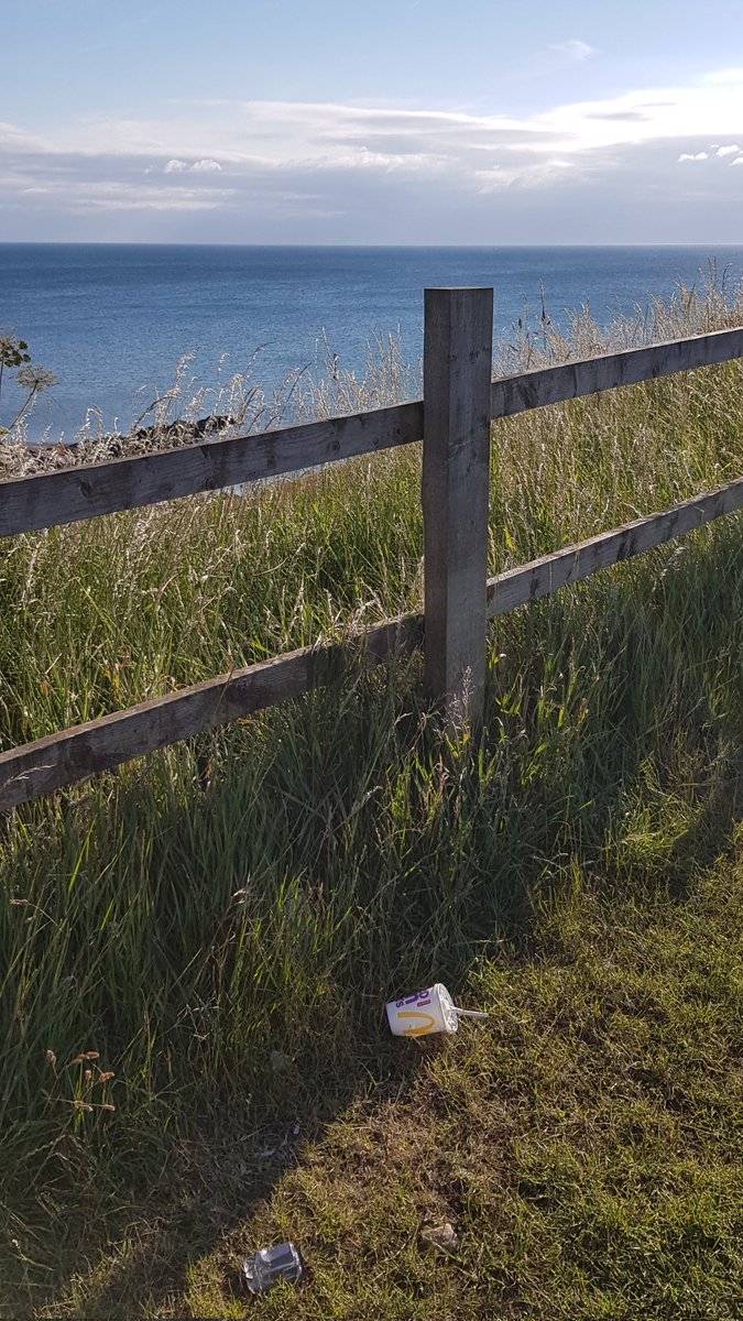 Someone had #startedabin with more <a href="/McDonaldsUK/">McDonald's UK</a> #rubbish this morning even though the nearest restuarant is a 30 minute drive away.  Picked and put into the bin just 5 steps away along with other nearby #trash.  #2minutelitterpick #Mappleton #EastYorkshire <a href="/KeepBritainTidy/">Keep Britain Tidy</a>