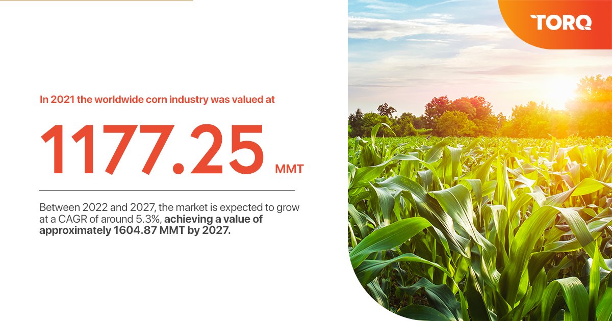CommoditiesTorq's tweet photo. The worldwide corn industry was valued to be worth 1177.25 MMT in 2021. Between 2022 and 2027, the market is expected to grow at a CAGR of around 5.3%, achieving a value of approximately 1604.87 MMT by 2027.
 
Source: https://t.co/fC02r7RlNw  

#corn #corntrade #trade https://t.co/1Vvf8BAYL9