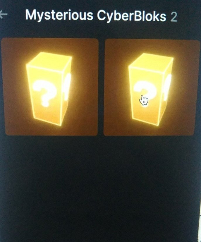 I believe my new blocks will be Oracle 👀👀 
#GameFi‌ #SolanaNFTs #CyberBloks $SOL