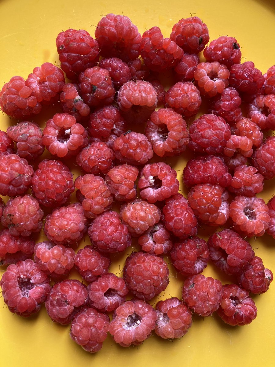 Andrew Demetrius on Twitter: