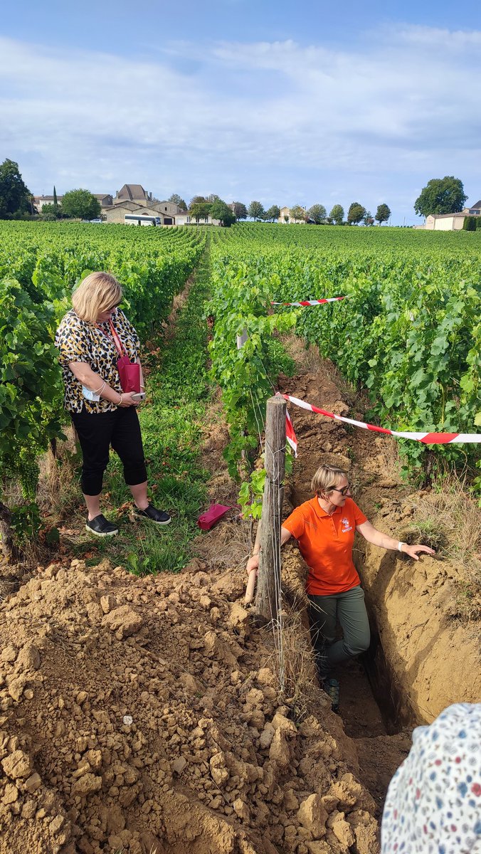 Margot_MJBerger's tweet photo. Next stop to Château La Couronne 🍇🍷🇨🇵 #Montagnesaintemilion #saintemilion #egfv #terclim2022 #terclim #bordeaux https://t.co/W7mLolPsZE
