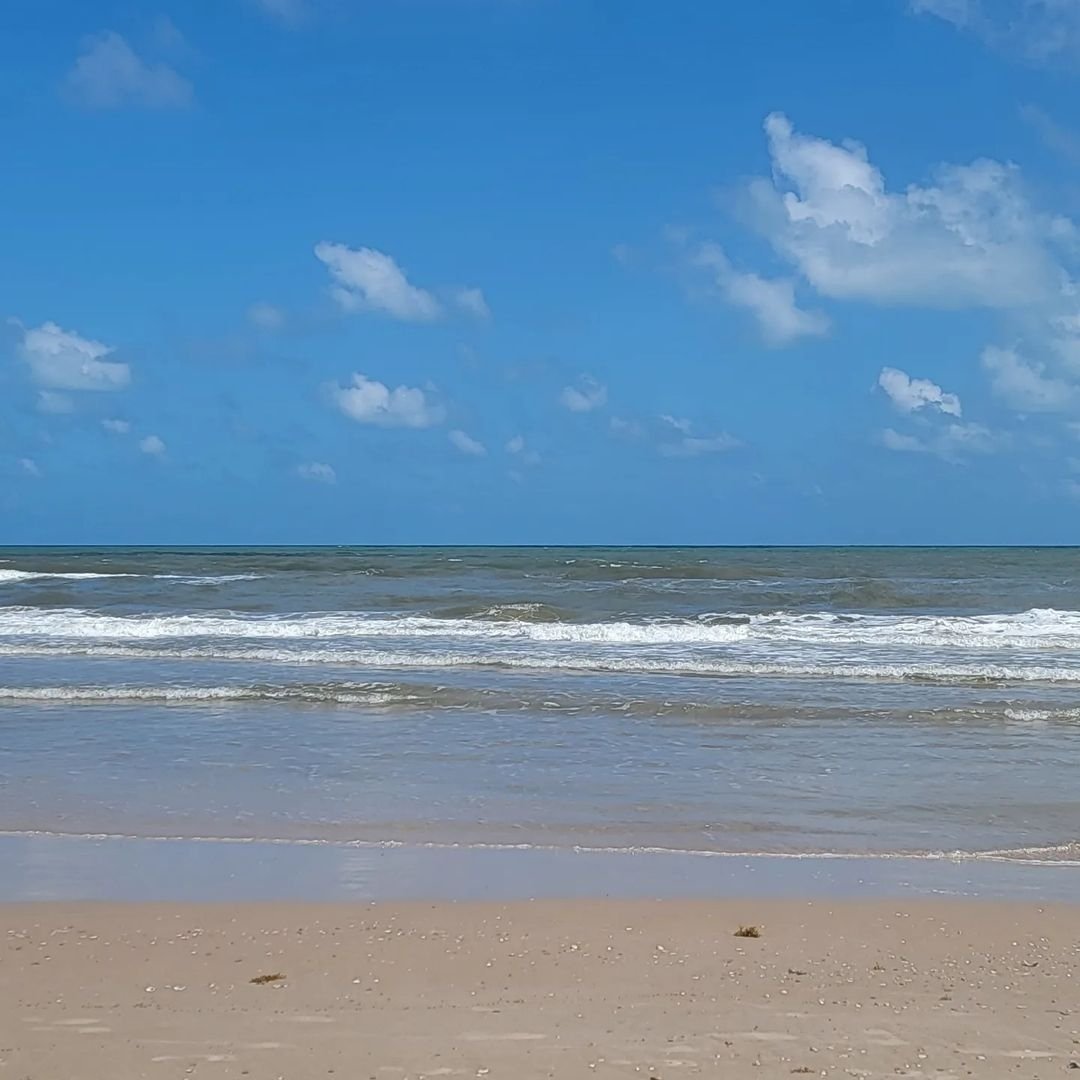 LiveFromTxMedia's tweet photo. #Matagorda, Texas has approximately 58 miles of beach. 23 miles of the beach east of the Colorado River is open to vehicles. The remaining 35 miles of beach is west of the Colorado River and only accessible by boat, kayak, canoe or other watercraft. #LivefromTX #Texas #Beach https://t.co/h38JfUX9yg