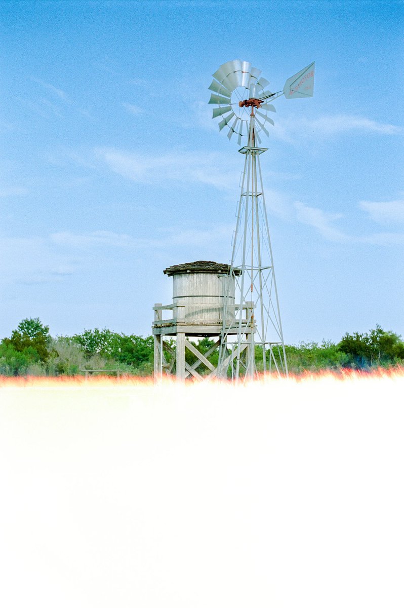 LAKvisuals's tweet photo. I really do like that washed out first shot Any of my film junkies agree? #thefindlab #filmphotography #filmisnotdead #filmcamera #35mm #35mmphotography #35mmfilmphotography #olympusphotography #olympuscamera #om10 #photography #photooftheday #instagood #picoftheday #adventure https://t.co/VdpmmNMdEQ