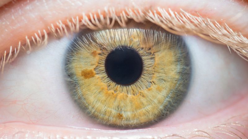 #VACANCY: We have a great opportunity for an ophthalmic pharmacist to join our Clinical Management Guidelines review group. This is a great opportunity to contribute to the development of guidance that benefits all prescribing professions. Find out more ➡️ bit.ly/3wMRFFq
