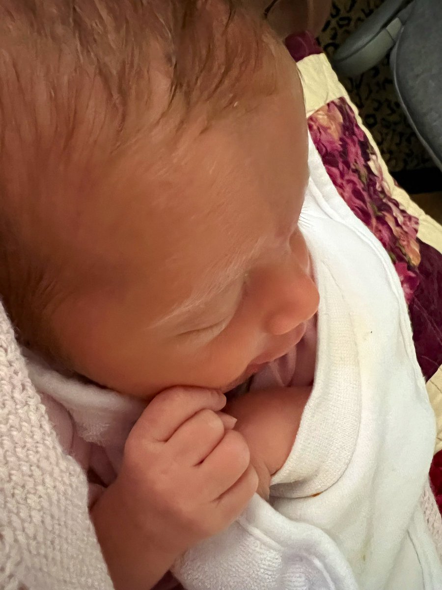 Pilot Deb tweet media