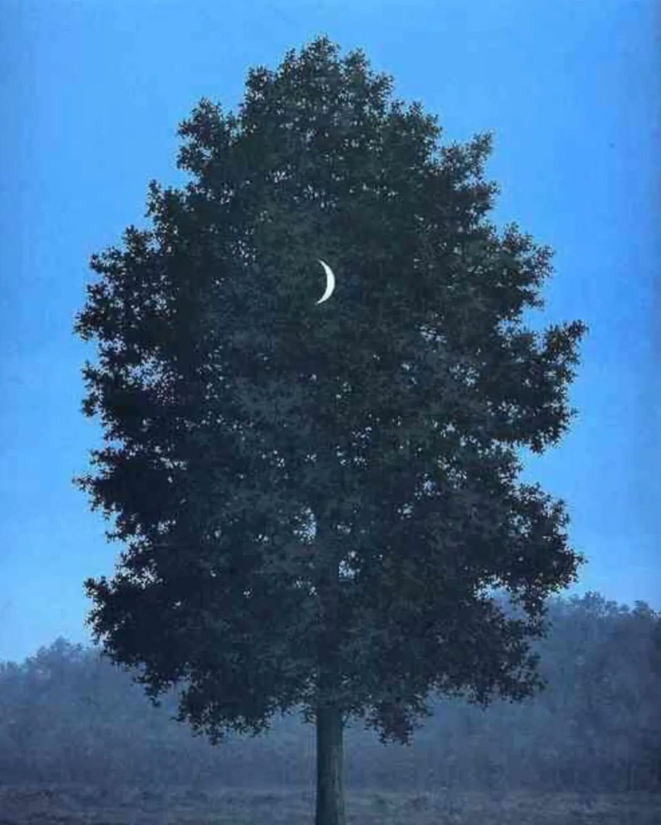 oemcare's tweet photo. "Trees are the earth's endless effort to speak to the listening heaven."

Rabindranath Tagore https://t.co/sMW56MXNEC