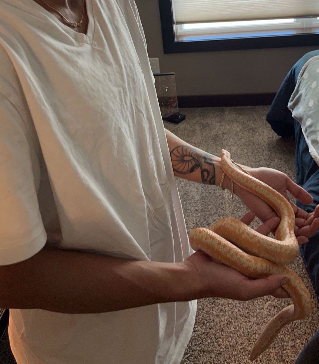 curly sosa🫡 on Twitter: "i finally got to hold a snake last night and i