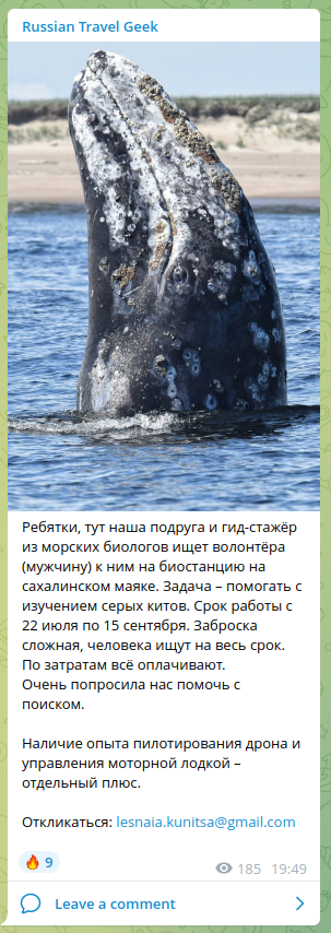 run_and_beer's tweet photo. Твиттерские, кто хочет нормальное такое, бодрое и интересное приключение, чтобы потом не стыдно было огромный тред в твиттер накатать и 100500 подписчиков подбить? Держите: https://t.co/6If2RcsHRc