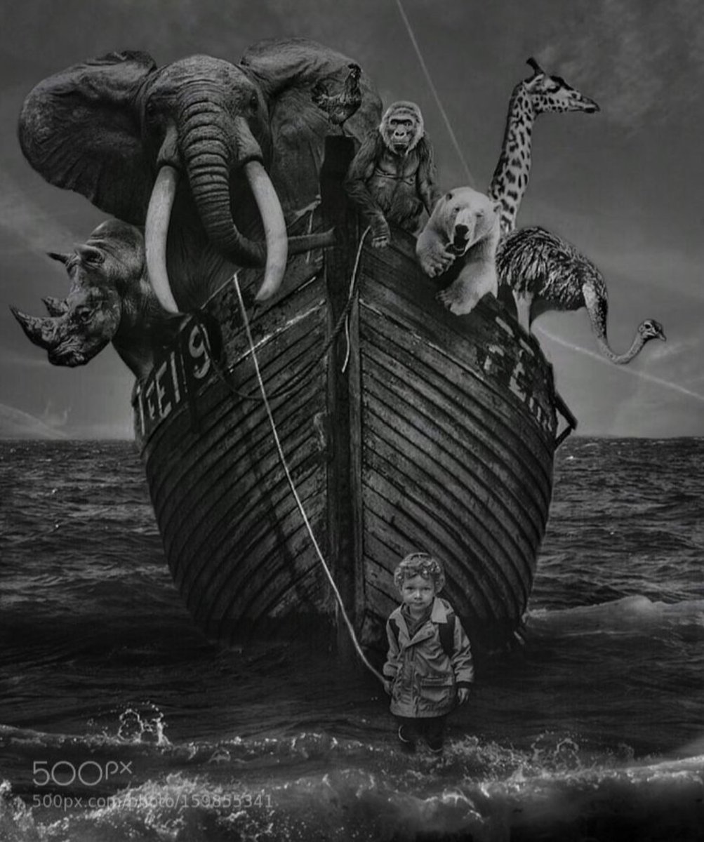 Tiere und kleine Kinder sind der Spiegel der Natur.

Stirbt die Natur, stirbt die Welt 🌍