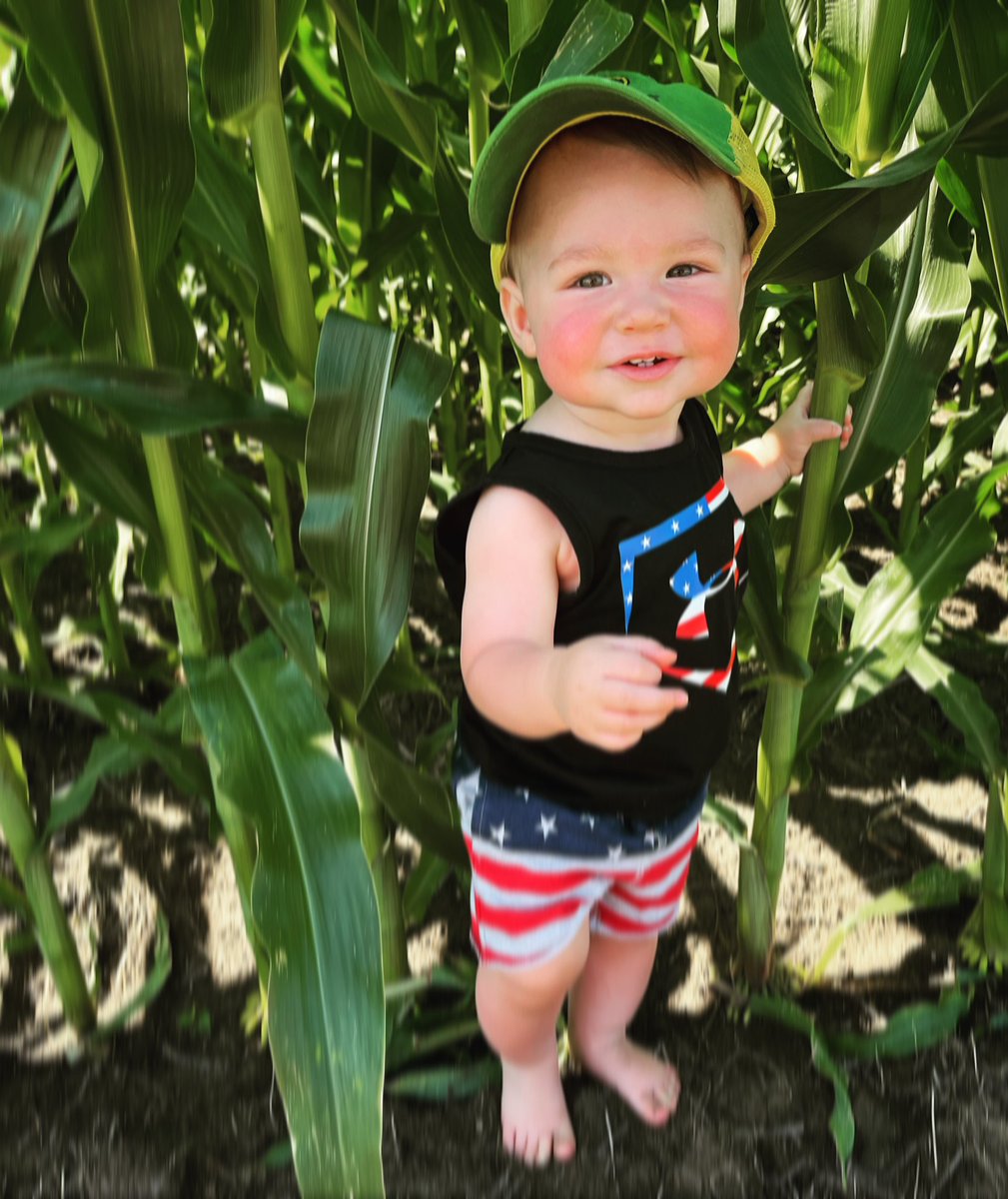 Hank made sure his FS InVISION corn was knee high by the 4th of July 🌽🇺🇸  <a href="/InVISION_HiSOY/">FSInVISION_FSHiSOY</a> <a href="/JohnDeere/">John Deere USA</a>
